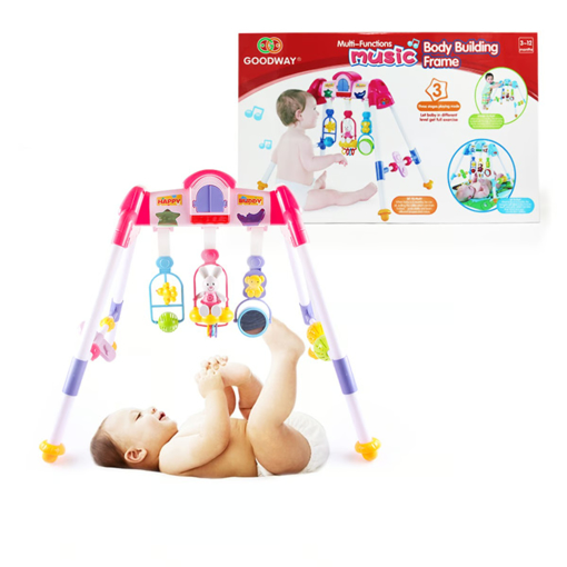 Picture of First Step Play Gym 6922C