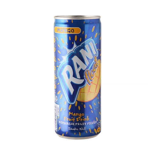 Picture of Rani Float Mango Fruit Drink 240ml x 6 Pieces